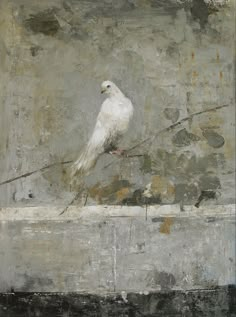 a painting of a white bird perched on a branch in front of a gray wall