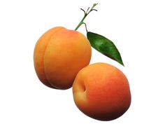 two apricots with leaves on the top and one peach on the bottom, against a white background