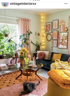 a living room filled with furniture and lots of plants on top of a rug in front of a window