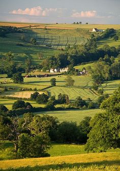 a lush green hillside with lots of trees and houses on the hill in the distance