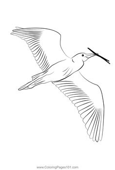 a black and white drawing of a bird flying in the sky with its wings spread