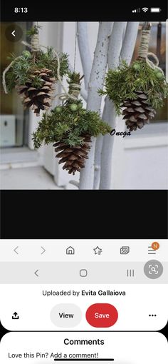 pine cones are hanging from a tree in front of a window with the words, uploaded by eva galilova view save love