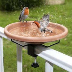 two birds are standing on the edge of a birdbath and splashing water