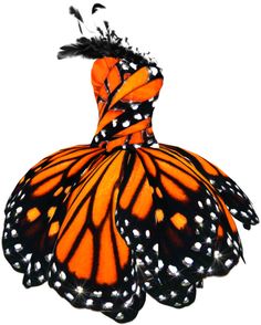 an orange and black butterfly with spots on its wings