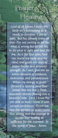 a poem written on the side of a plaque in front of some trees and water