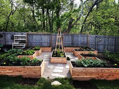 an outdoor garden with wooden raised beds