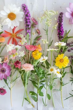 colorful flowers are arranged in rows against a white wall