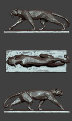 three different views of the body of a cat in various angles and sizes, including one with