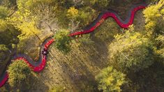 an aerial view of a winding path in the woods