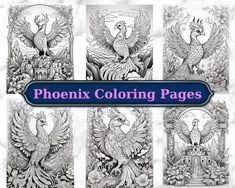 six different coloring pages with birds and flowers