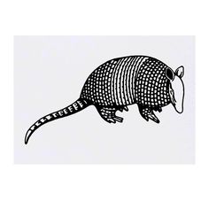 an armadile is depicted in this black and white drawing by artist mark taylor