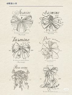 four different types of bows are shown in this drawing style, with the names and numbers below them