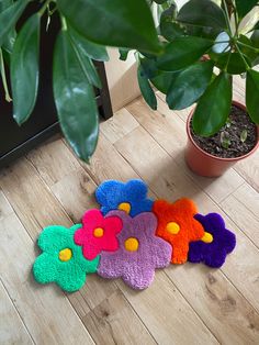 four flower shaped rugs sitting on the floor next to a potted plant