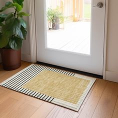 a potted plant sitting on top of a wooden floor next to a white door