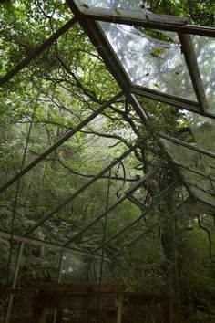 the inside of a glass house with trees in the back ground and foliage on the roof