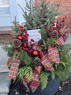 a potted plant with pine cones, berries and evergreens on the front porch