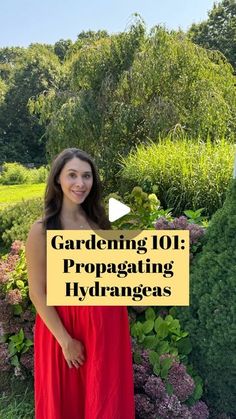 a woman standing in front of flowers and bushes with the words gardening 101 propagating hydra