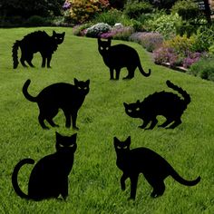 black cats are standing in the grass outside