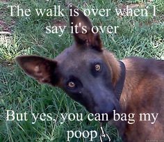 a black and brown dog standing on top of a grass covered field next to a quote