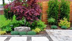 a garden with various plants and rocks in it