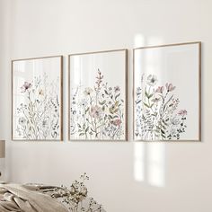 three framed pictures hang on the wall above a bed in a room with white walls