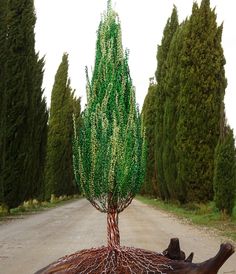 a tree that is sitting in the middle of a dirt road