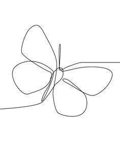 a single line drawing of a butterfly