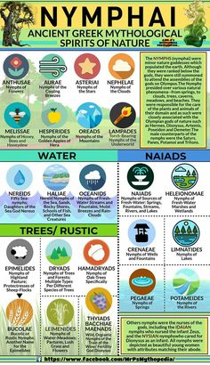 an info poster showing the different types of plants and animals in nymphiai