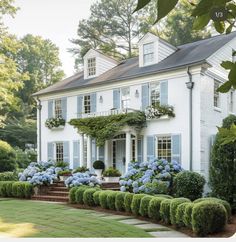 a white house with blue shutters and flowers on the front