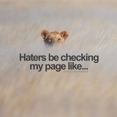 a cheetah hiding in the grass with a quote about haters be checking my page like