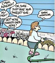 a cartoon drawing of a woman watering her yard with two bubbles saying, mom, already, just take your sweet - time they're thirsty over here