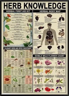 a poster with flowers and herbs in the shape of human torsos, including an image of