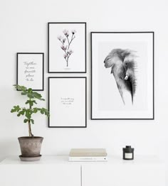 three framed pictures hang on the wall above a white cabinet with a potted plant