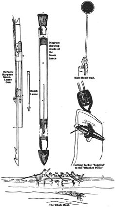 an old diagram shows the different types of fishing rods and their uses for catching fish