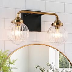 a bathroom light with two bulbs on the wall next to a mirror and potted plant