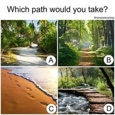 four different pictures with the words which path would you take?