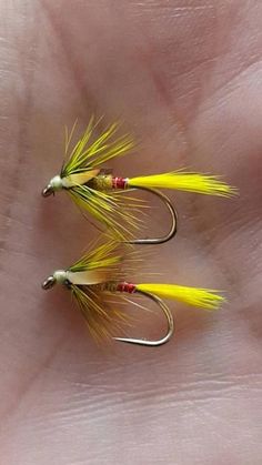 two yellow and red flies on a person's hand