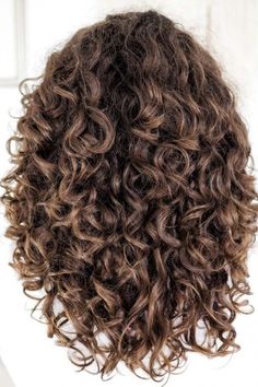 Layered Curly Hair V Shape, Oval Haircut Curly Hair, Curly 2c Haircuts, Medium Length Curly Hair With Layers And Curtain Bangs, Curly Hair From The Back, Curly Hair Layers Medium, Best Hair Cuts For Curly Hair, Curl Maven, Haircut Ideas For Curly Hair