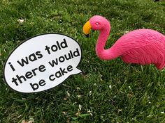 a pink flamingo standing next to a sign that says i was told there would be cake