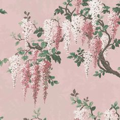 a pink wallpaper with white flowers and green leaves on the branches, in front of a tree