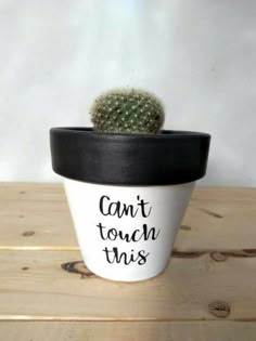 a small cactus in a black and white pot that says can't touch this