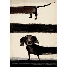 a black and brown dog standing on top of a poster