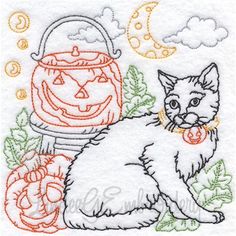 a white cat sitting next to a pumpkin and a jack - o'- lantern