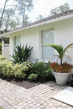 a white house with plants in front of it and a brick walkway leading to the door