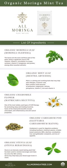 organic herbal tea with moringa mint and chamomile Whey Protein Recipes Shakes, Mint Leaf, Diet Desserts