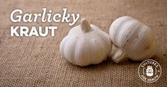 two garlics sitting on top of a brown cloth with the words garlicky kraut