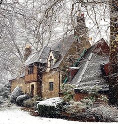 an old house with snow on the ground and trees in front of it, surrounded by snow