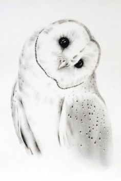 a black and white drawing of an owl