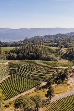 an aerial view of a vineyard in the hills