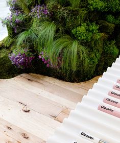 several markers are placed on top of the wooden floor next to some plants and flowers